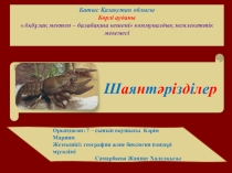 Урок презентация на тему Өзен шаяны