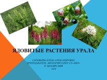 Презентация  Ядовитые растения Урала