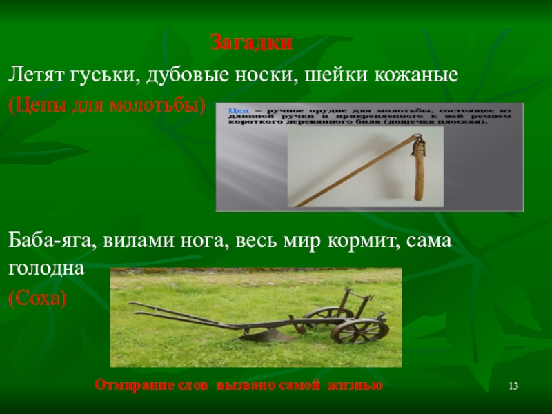 Презентация по русскому языку Устаревшие слова ЗагадкиЛетят гуськи, дубовые носки, шейки кожаные(Цепы для молотьбы)Баба-яга, вилами нога, весь ЗагадкиЛетят гуськи, дубовые носки, шейки кожаные(Цепы для молотьбы)Баба-яга, вилами нога, весь мир кормит, сама голодна(Соха)Отмирание слов вызвано