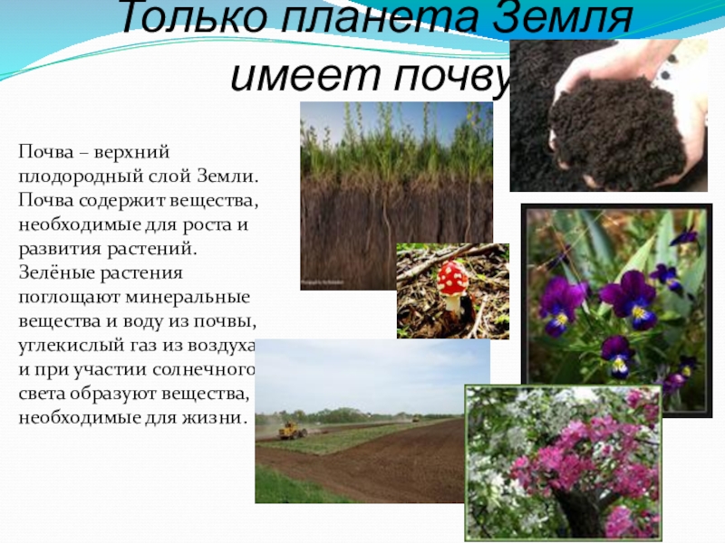 Схема значение почвы в природе и жизни людей