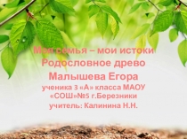 Презентация Моя семья- мои истоки Малышев Егор