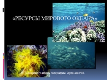 Презентация Ресурсы Мирового Океана