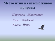 Презентация по биологии на тему Внутреннее строение птиц (7 класс)