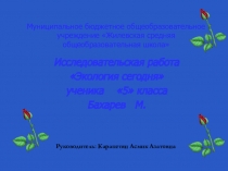 Презентация к уроку английского языка по теме Экология