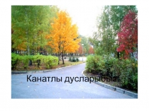 4 нче сыйныфта Канатлы дусларыбыз темасына презентация