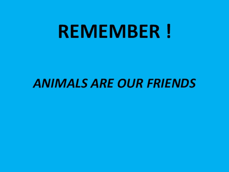 Презентация по теме Животные. Степени сравнения прилагательных REMEMBER !ANIMALS ARE OUR FRIENDS REMEMBER !ANIMALS ARE OUR FRIENDS