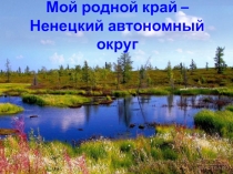 Презентация Мой родной край - НАО.