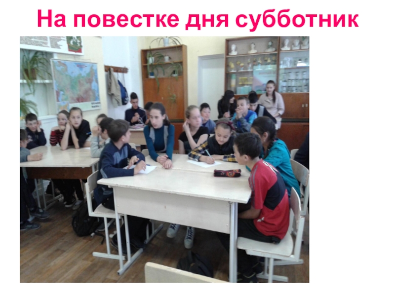 Презентация Акция Первоцвет растения нашего участка. На повестке дня субботник На повестке дня субботник