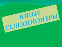 Презентация по биологии на тему