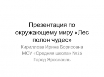 Презентация по окружающему миру Чудесное рядом
