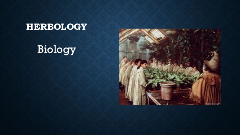 HerbologyBiology