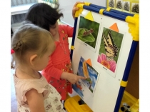 Фотопрезентация проекта  Этот удивительный мир!