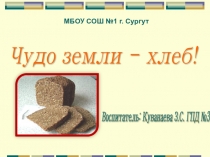 Воспитательное занятие Презентация Чудо земли - хлеб