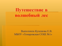 Презентация по немецкому языку во 2 классе на тему Дикие животные