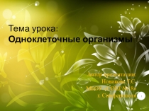 Презентация по биологии на тему Одноклеточные организмы