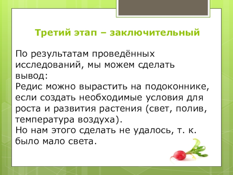 Исследовательская работа на тему: Как растёт редис Третий этап – заключительный По результатам проведённых исследований, мы можем Третий этап – заключительный По результатам проведённых исследований, мы можем сделать вывод: Редис можно вырастить