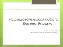 Исследовательская работа на тему: Как растёт редис