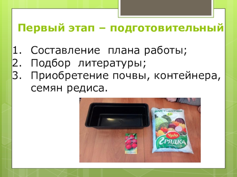 Исследовательская работа на тему: Как растёт редис Первый этап – подготовительныйСоставление плана работы; Подбор литературы;Приобретение почвы, контейнера, семян редиса. Первый этап – подготовительныйСоставление плана работы; Подбор литературы;Приобретение почвы, контейнера, семян редиса.