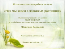 Презентация к исследовательской работе по теме Что мы знаем о ядовитых растениях