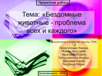 Проектная работа: Бездомные животные - проблема всех и каждого.