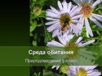 Презентация по географии на тему Среда обитания