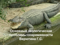 Презентация Экологические проблемы современности