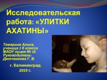 Презентация к исследовательской работе: УЛИТКИ АХАТИНЫ