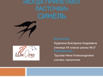 Презентация по технологии на тему Синель (9 класс)