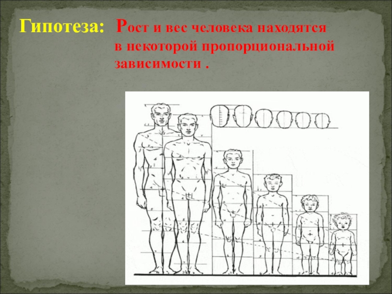 Работа с массами людей. Пропорции человека рост и вес. Пропорциональность ребенка. Гипотезы роста. Пропорциональность в колонне.