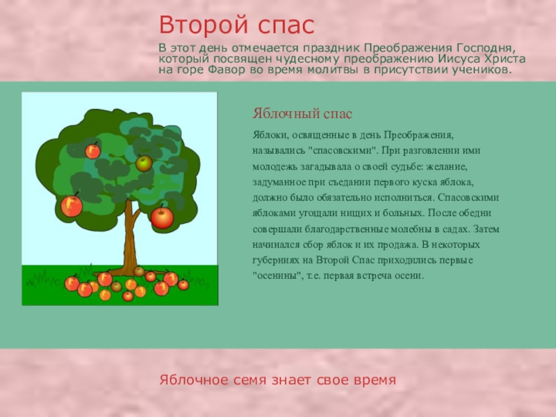 Презентация про православные праздники Яблочный спасЯблочное семя знает свое времяЯблоки, освященные в день Преображения, назывались Яблочный спасЯблочное семя знает свое времяЯблоки, освященные в день Преображения, назывались