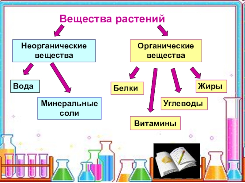 Вещества растений содержащие. Органические и неорганические вещества. Органические и неорганические соединения. Органические и неорганические вещества химия. Органические и неорганические вещества в растениях.