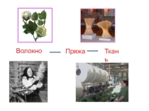 Презентация к уроку технологии на тему Натуральные волокна животного происхождения и ткани, получаемые из них (6 класс).