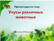 Укусы животных