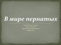 Презентация по биологии на тему