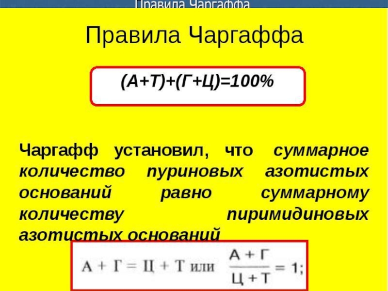 Правило чаргаффа. Правило комплементарности правило Чаргаффа. Правило Чаргаффа для ДНК. Принцип комплементарности правило Чаргаффа. Основное правило Чаргаффа.