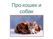 Презентация к конспекту урока окружающего мира Про кошек и собак.