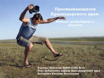 Пресмыкающиеся Краснодарского края