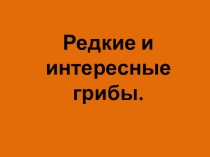 Презентация по биологии Редкие и интересные грибы
