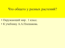 Презентация к окружающему миру Что общего у разных растений?