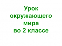 Презентация к уроку окружающего мира по теме: Ищем ответы на вопросы. 2 класс