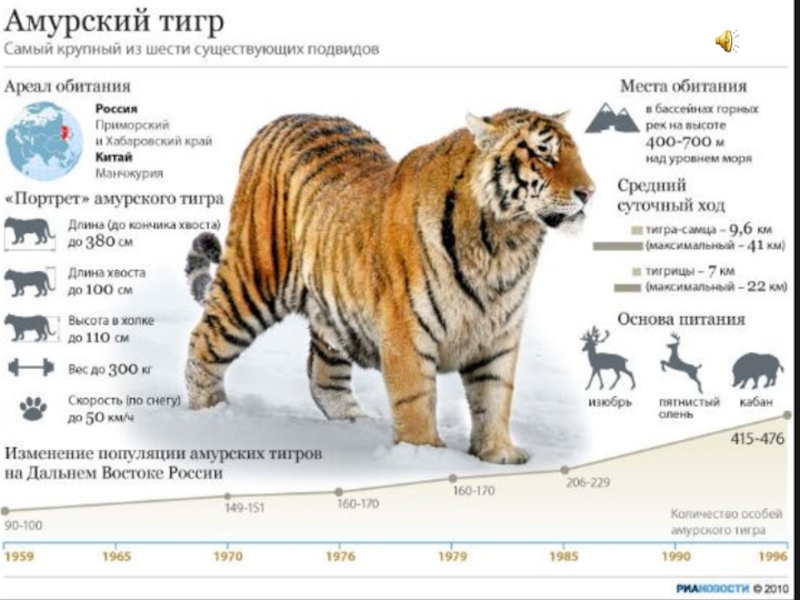 Презентация на тему