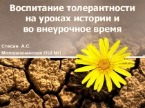 Презентация по теме: Воспитание толерантности