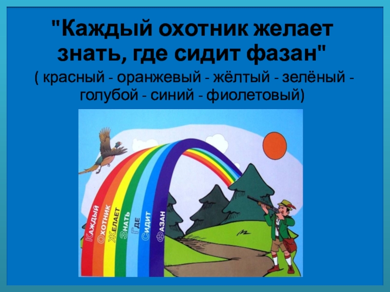 Каждый фазан желает знать. Загадка каждый охотник желает знать где сидит фазан. Каждый охотник желает знать про планеты. Каждый охотник желает знать где сидит фазан флаг России. Стих каждый охотник желает знать где сидит фазан про радугу.