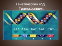 Генетический код