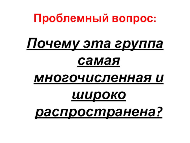 Презенация по биологии на тему Беспозвоночные (5 класс) Проблемный вопрос:Почему эта группа самая многочисленная и широко распространена? Проблемный вопрос:Почему эта группа самая многочисленная и широко распространена?