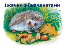 Презентація до уроку трудового навчання Їжачок ( 1 клас )