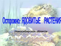 Презентация по биологии на тему Осторожно: ядовитые растения