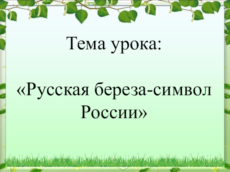 Береза символ россии презентация