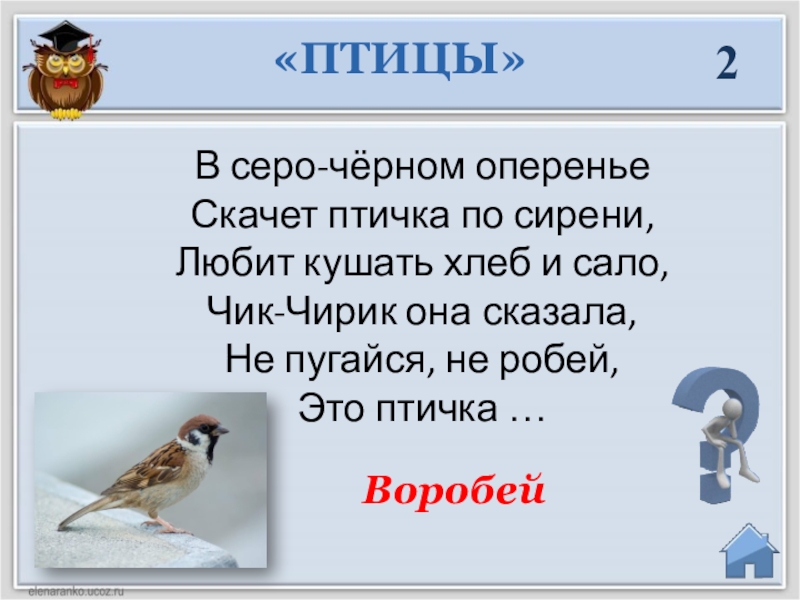 Песня чик чирик воробей. Загадка про воробья 1 класс. Птичка текст. Птица скачет. Загадка про Чик чирик.