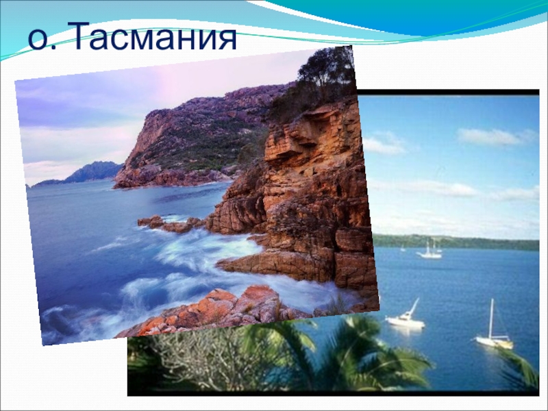 Презентация по географии В поисках Южной Земли (5 класс) о. Тасмания о. Тасмания